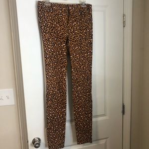 Leopard Print Work Casual Pant TALL